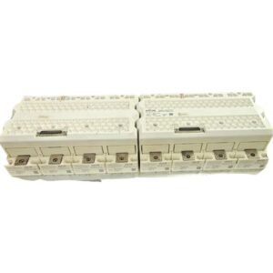 2xSKIIP2414GB17E4-4DUK1273